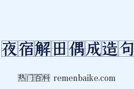夜宿解田偶成造句是什么意思的图片